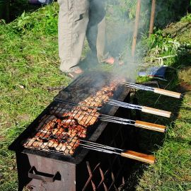 Тем временем мясо румянилось на решетке Выезд на природу по случаю окончания учебного года в Воскресной школе. 29.05.2011 года