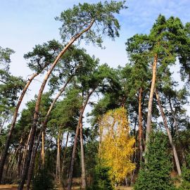 Глинская пустынь Паломничество в Глинскую пустынь. Фоторепортаж Алексея