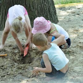 У корней дуба окопалась ребятня: строили бассейн Духовные чада отца Виктора на природе. 06.05.2012 г.