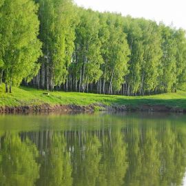 Красота вокруг Духовные чада отца Виктора на природе. 06.05.2012 г.