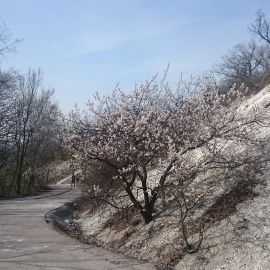 По серпантину паломники поднимаются к Николаевской церкви и могилке Иоанна Затворника Паломническая поездка в Святогорскую Лавру. 9-10 апреля 2016 г.