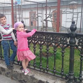 Маленькие паломники в Святогорской лавре полюбовались пернатыми насельниками Паломническая поездка в Святогорскую Лавру. 9-10 апреля 2016 г.