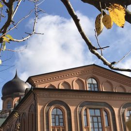 Рождества Богородицы мужской монастырь (Глинская пустынь) Паломническая поездка в Глинскую пустынь. 21-22.10.2017 г.