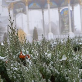 Почаевская лавра, зима Паломническая поездка в Почаевскую лавру. 30.12.2018 - 03.01.2019 г.
